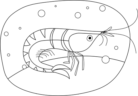 Shrimp From Shrimp Coloring Page